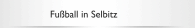 Fu&szlig;ball in Selbitz